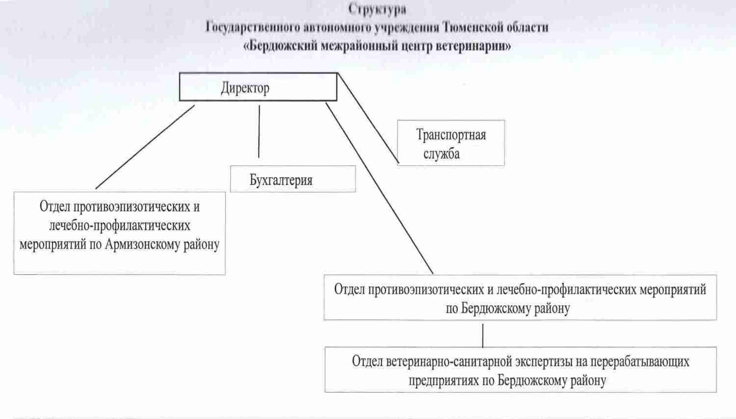 Структура учреждения